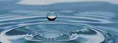 Cleaning-in-Place (CIP)