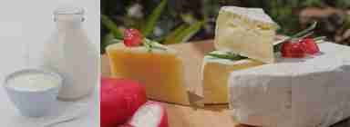 采购产品乳制品，营养食品，婴儿食品，益生菌